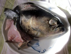 Fish Stock (Aka Severed Head Soup) - Eat | Drink | Breathe
